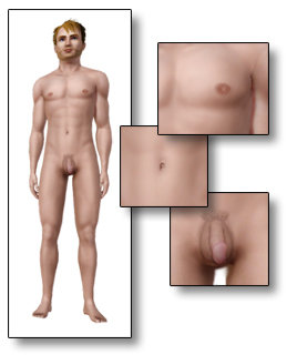 The Sims 3 Natural Nude Skin 5 Shaven Download 1