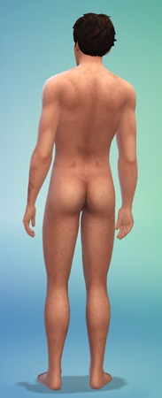 The Sims 4 Male Nude Skin Hairy 1 Back Download